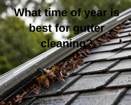 a roof gutter that needs cleaning