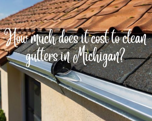 cleaned gutter in Michigan