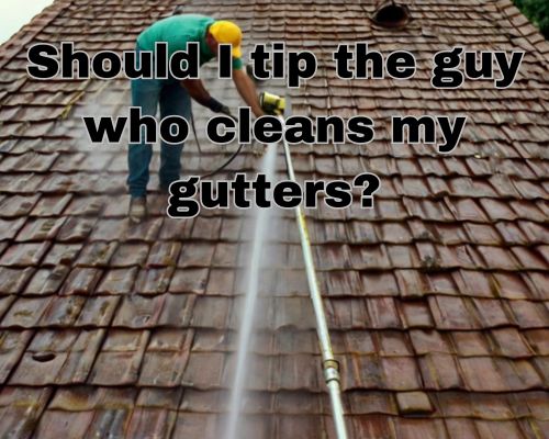 roof-and-gutter-cleaner