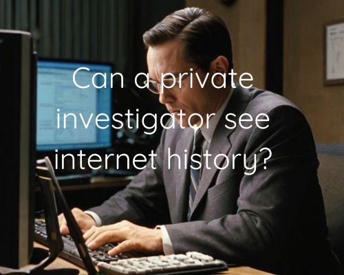 an investigator checking out internet history