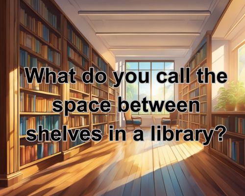 The narrow space between tall bookshelves in a quiet library. Sunlight streams through the windows, casting long shadows on the polished wooden floor