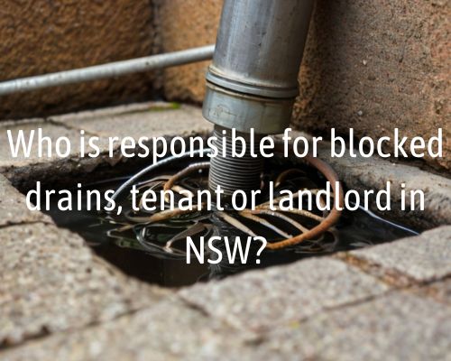 a blocked drain of a home in NSW