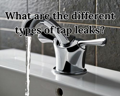 a kind of type leakage