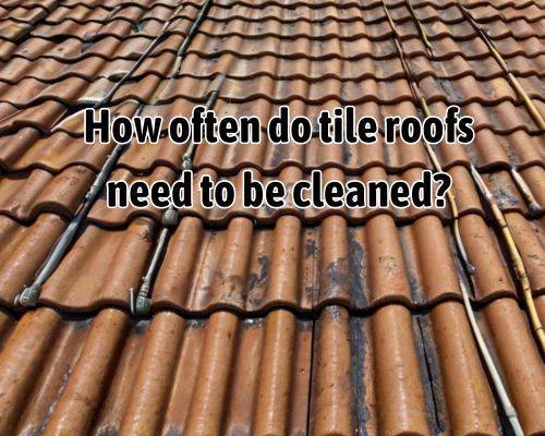 a very dirty tile roofing in need of cleaning