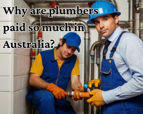 professional plumbers working on pipes