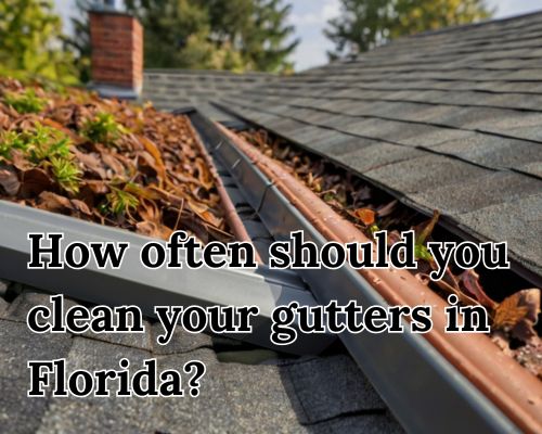 a roof in need of gutter cleaning
