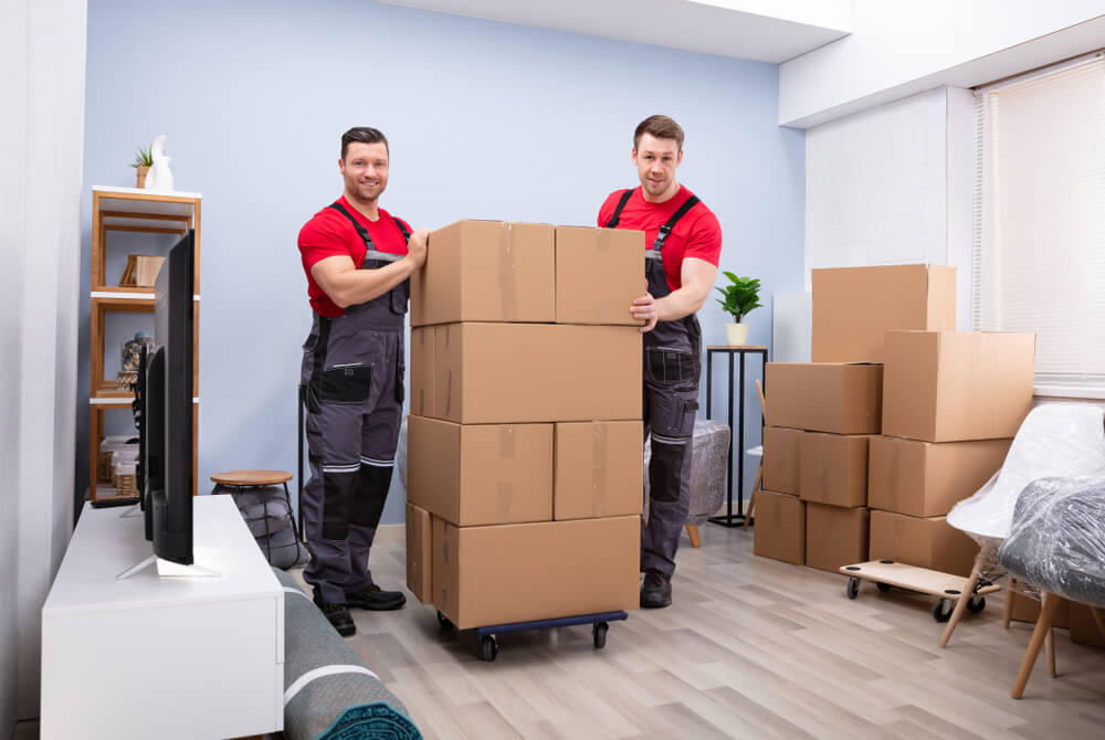 Local Movers In My Area